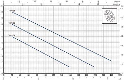 Pedrollo TOP 2 GM Plastik Drenaj Dalgıç Pompa