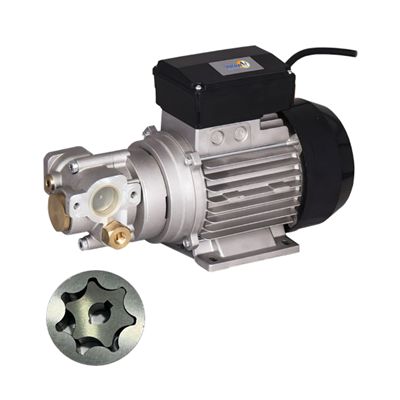 DYB-15EV Dişli Yağ Transfer Pompası - Orta ve Yüksek Yoğunluk (220V - 1200W)