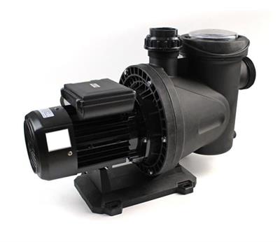 Winpo Wnp Pool-1 1T Havuz Pompası Trifaze 1HP