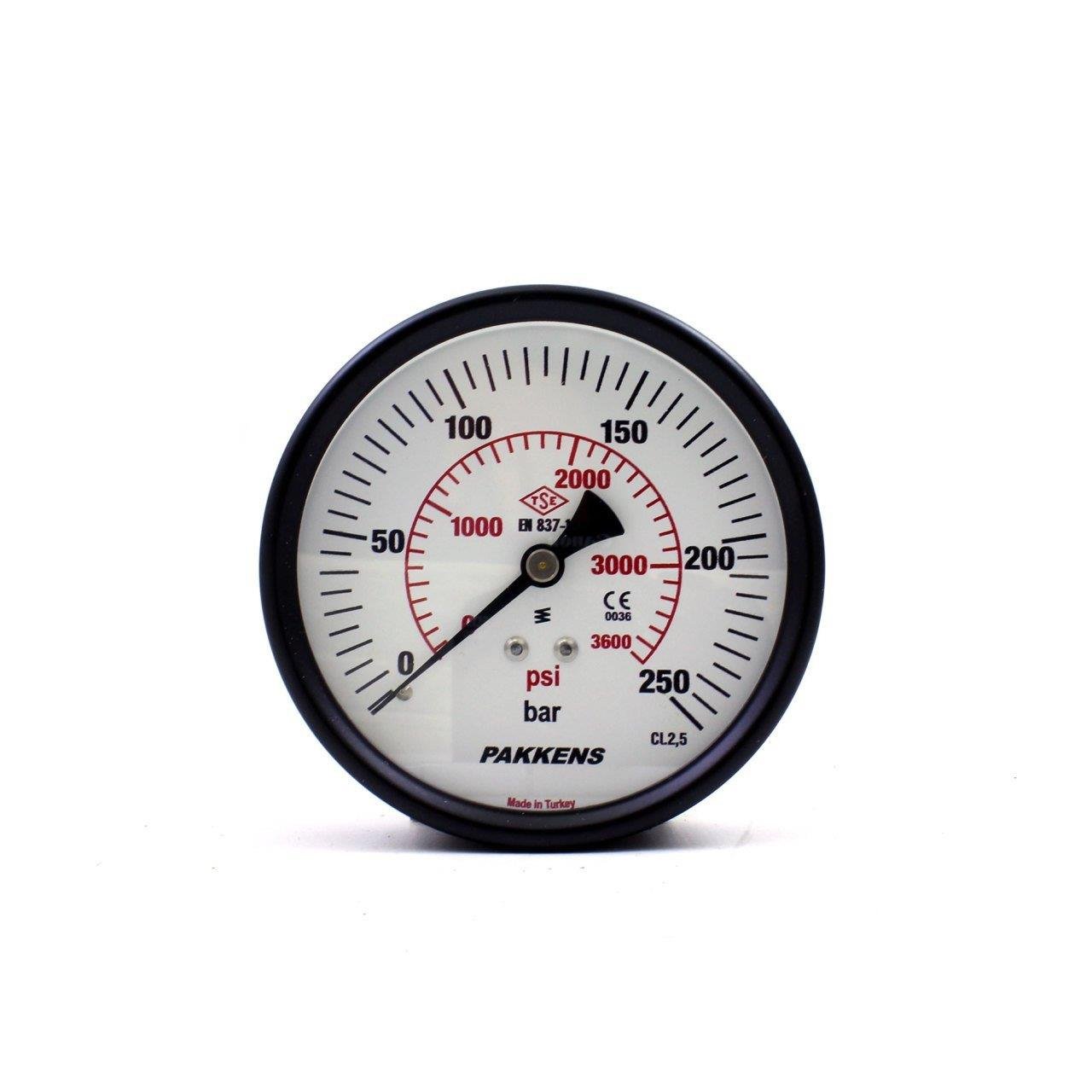 Pakkens - Pakkens 0-250 Bar 100 mm Arkadan Bağlantılı Kuru Manometre G 1/4 inç