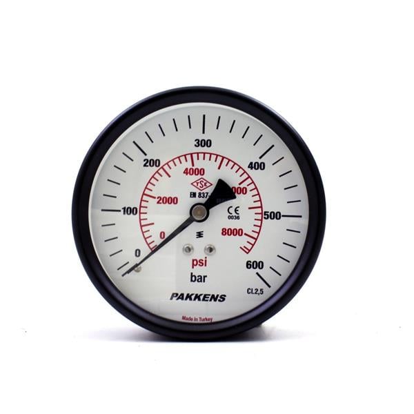 Pakkens - Pakkens 0-600 Bar 100 mm Arkadan Bağlantılı Kuru Manometre G 1/4 inç