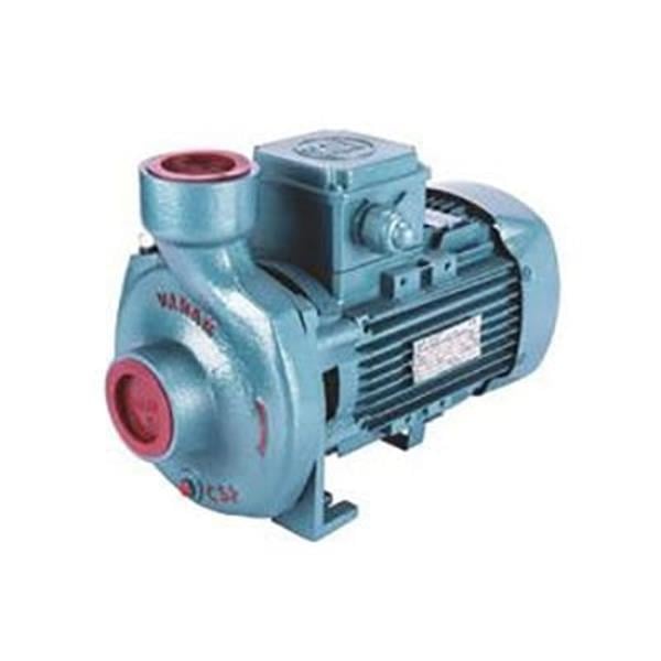 Varan - Varan CS-153 Kompakt Monoblok Santrifüj Pompa 3 Hp 220 Volt