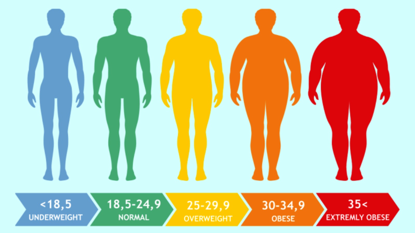 Vücut kitle indeksi