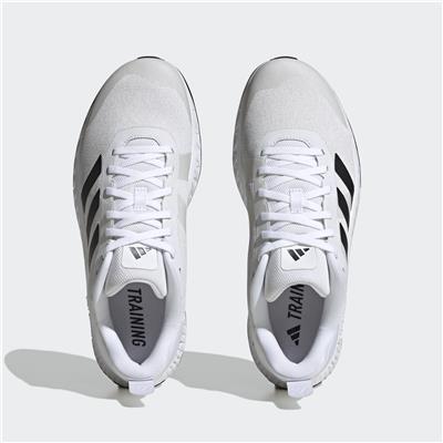 Everyset Trainer
