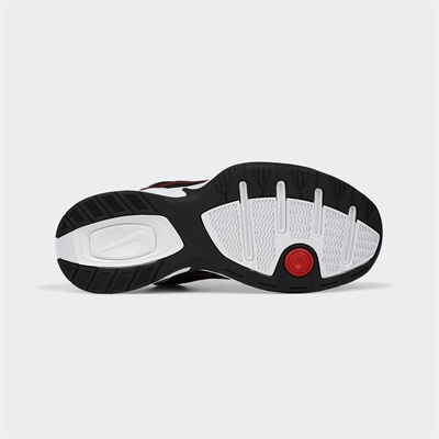 Air Monarch IV