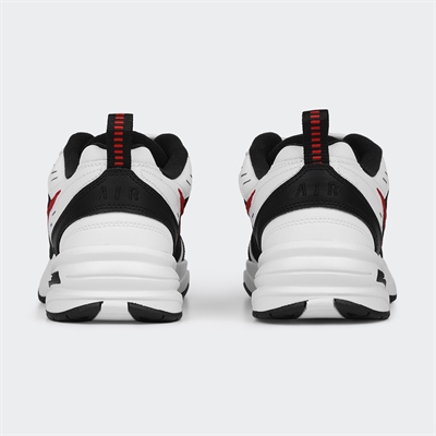 Air Monarch IV