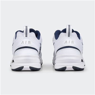 Air Monarch IV