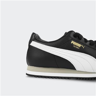 Roma 24 Standard