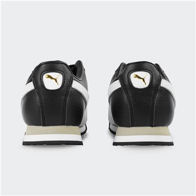 Roma 24 Standard