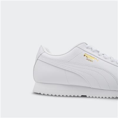 Roma 24 Standard