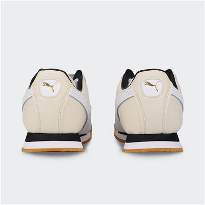 Roma 24 Standard