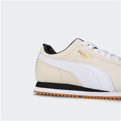 Roma 24 Standard