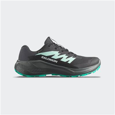 Alphaglide Gtx W