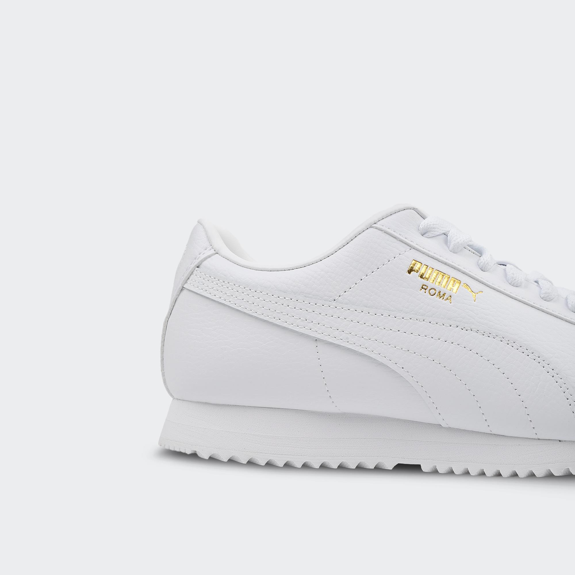 Roma 24 Standard