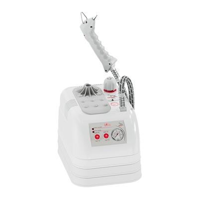 GOLDENTAL BUHARLI TEMİZLEME ROBOTU*3,5 LT - PLASTİK GÖVDE
