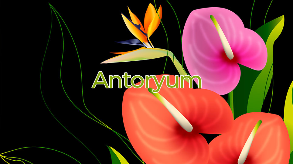 Antoryum
