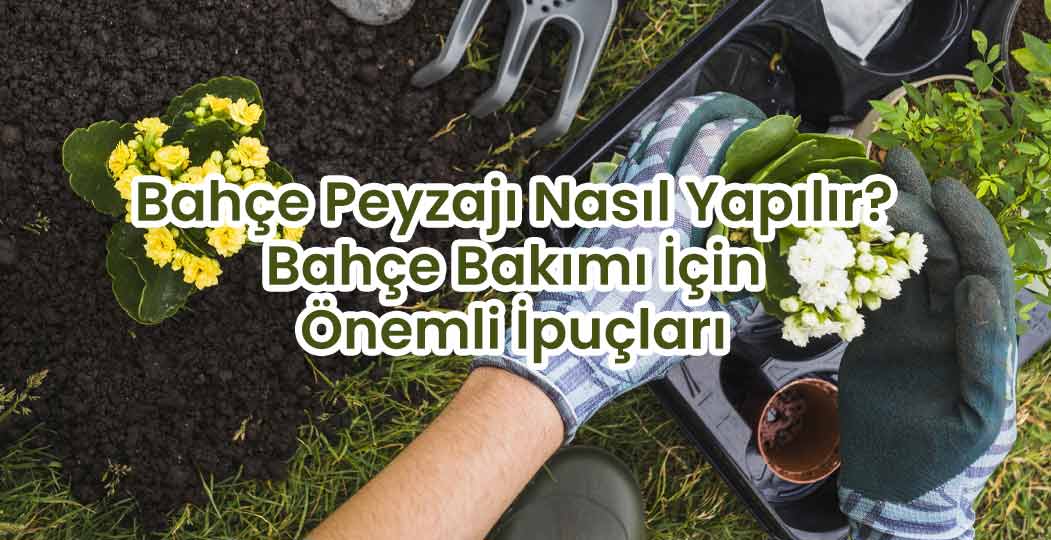 Bahçe Peyzajı Nasıl Yapılır? Bahçe Bakımı İçin Önemli İpuçları