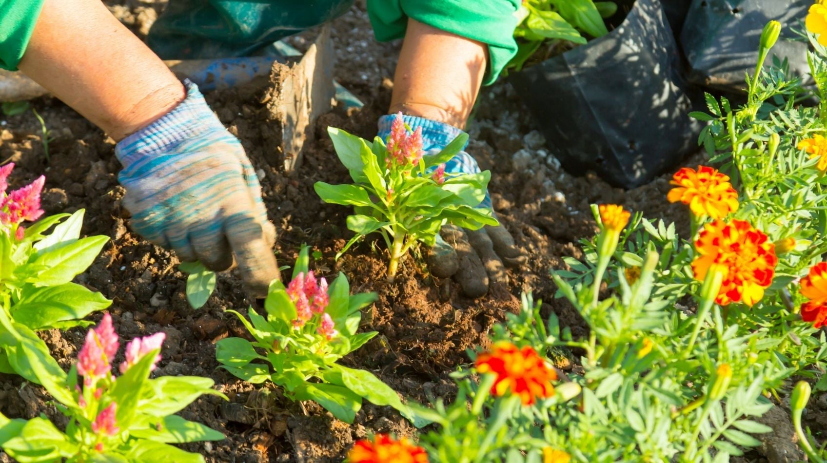 Bahçenizi Çiçeklerle Bir Yaşam Alanına Dönüştürün