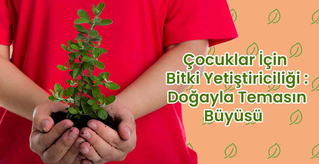 Çocuklar İçin Bitki Yetiştiriciliği: Doğayla Temasın Büyüsü