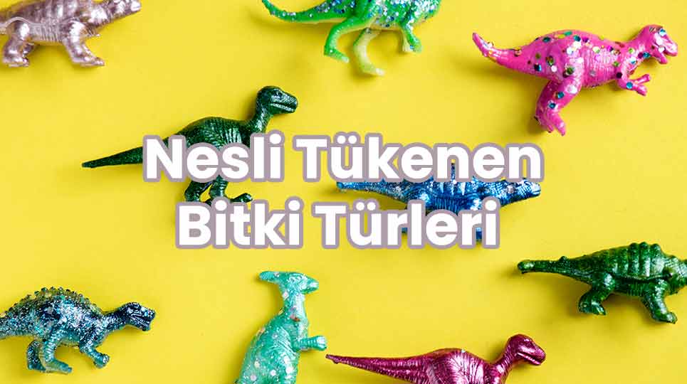 Nesli Tükenen Bitki Türleri