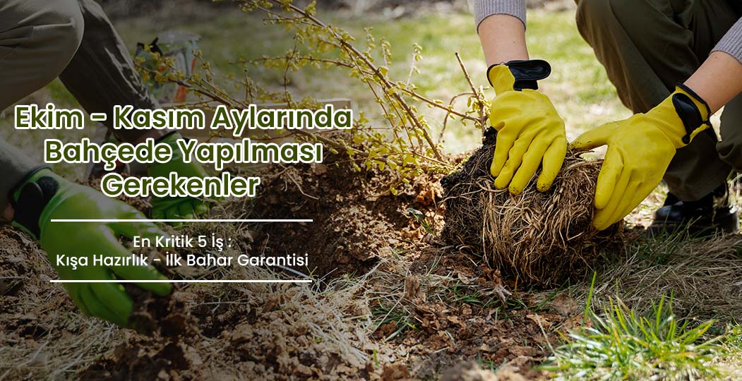 Ekim - Kasım Aylarında Bahçede Yapılması Gereken EN KRİTİK 5 İş: Kışa Hazırlık ve İlkbahar Garantisi