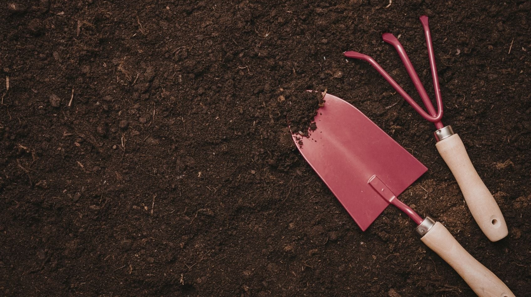 En İyi Bahçe El Aletleri: Budama ve Kesme İşlemlerinde Profesyonel Çözümler