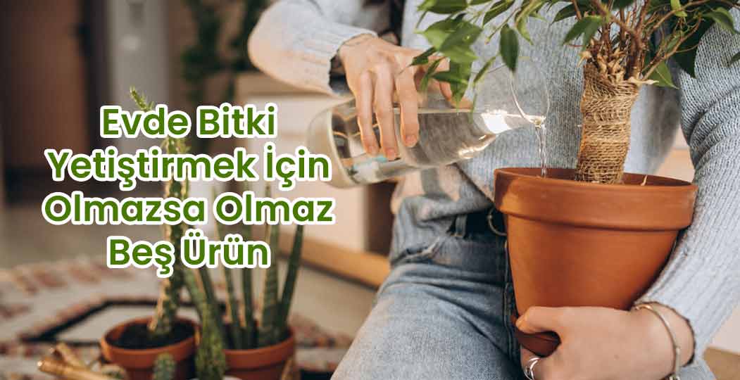 Evde Bitki Yetiştirmek İçin Olmazsa Olmaz Beş Ürün
