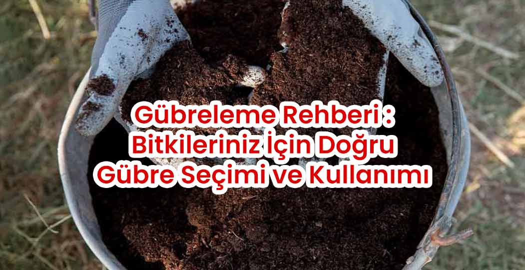 Organik Gübre Çeşitleri, İnorganik Gübre Uygulaması, Bitki Besini Kullanımı