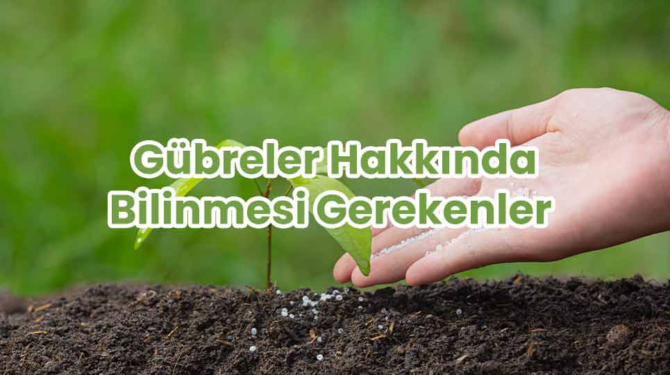 Gübreler Hakkında Bilinmesi Gerekenler