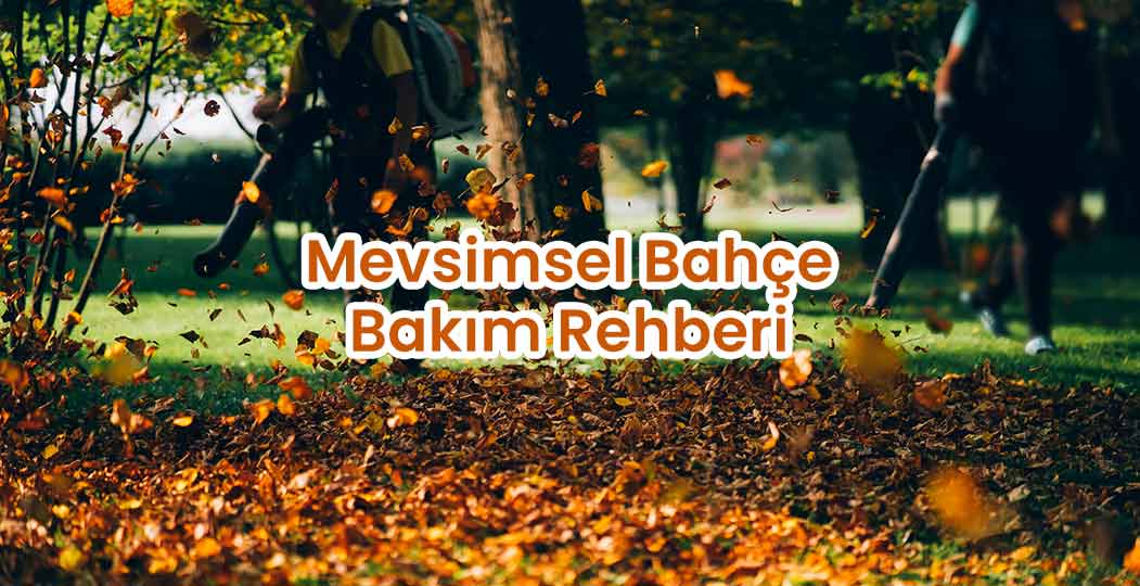 Mevsimsel Bahçe Bakım Rehberi