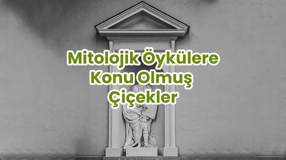 Mitolojik Öykülere Konu Olmuş Bitkiler