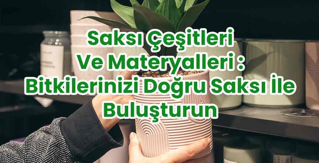 Saksı Çeşitleri Ve Metaryelleri : Bitkilerinizi Doğru Saksı İle Buluşturun