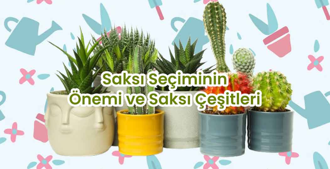 Saksı Seçiminin Önemi ve Saksı Çeşitleri
