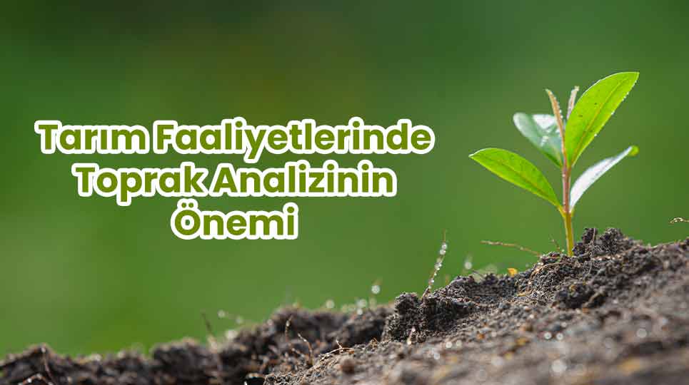 Tarım Faaliyetlerinde Toprak Analizinin Önemi