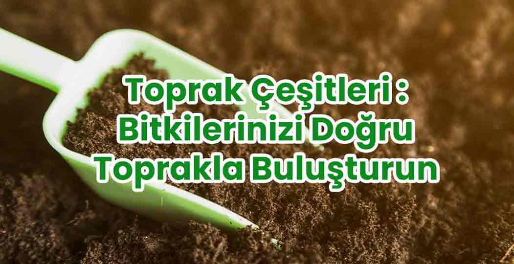 Toprak Çeşitleri : Bitkilerinizi Doğru Toprakla Buluşturun