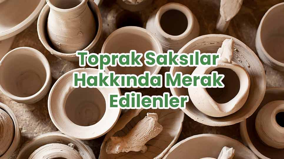 Toprak Saksılar Hakkında Merak Edilenler