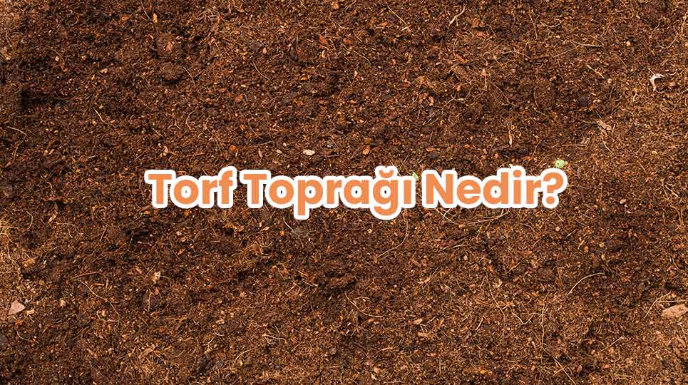 Torf Toprağı Nedir?