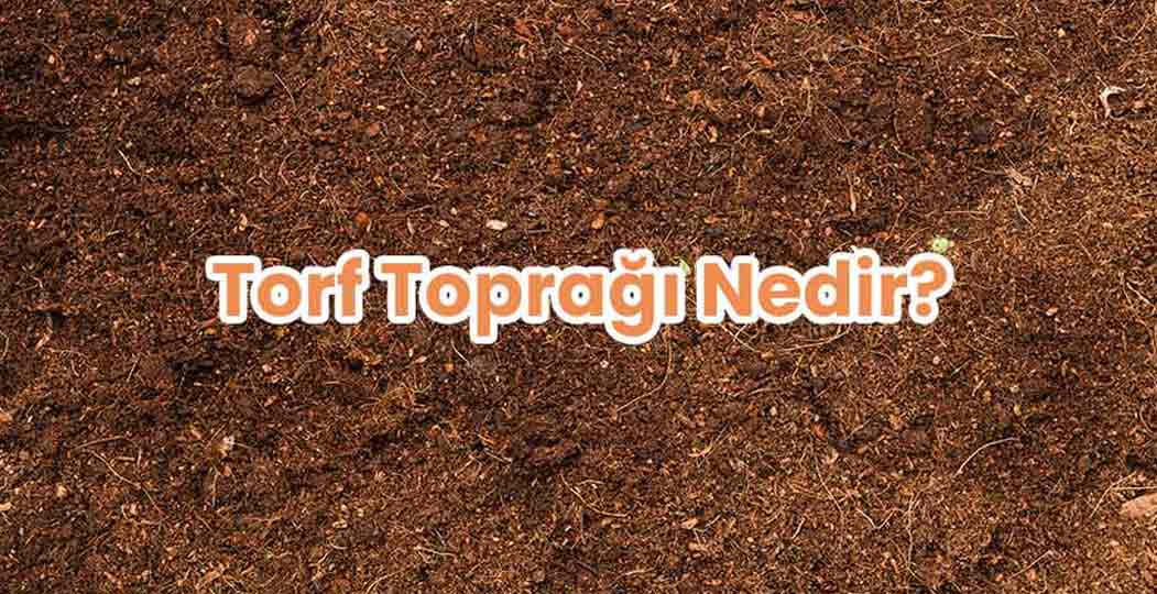 Torf Toprağı Nedir?