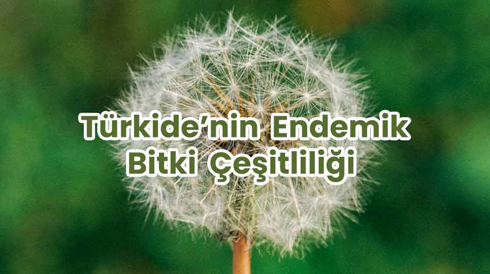 Türkiye’nin Endemik Bitki Çeşitliliği
