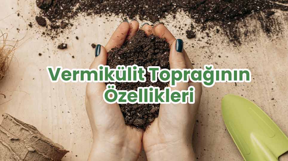 Vermikülit Toprak ve Özellikleri