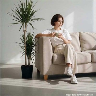 3lü Dracaena Marginata Çiçeği  45 X 30 X 60 Cm Yeşil
