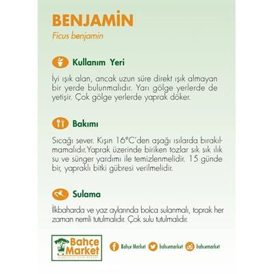 Benjamin 100-125 Cm Yeşil