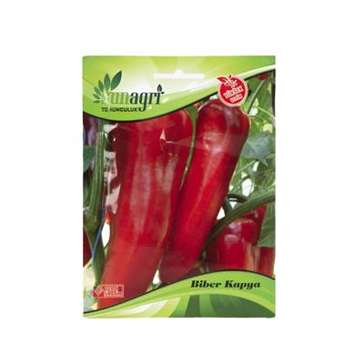 Sunagri Yağlık Kapya Biber Tohumu