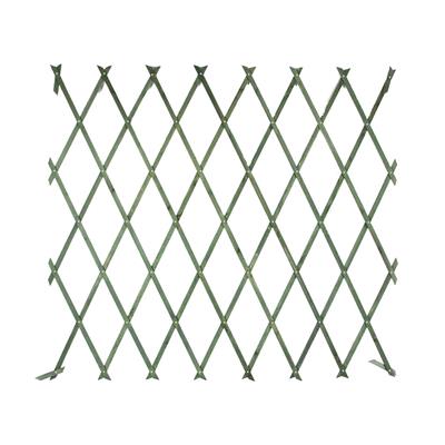 Çıtçıtlı Çam Ağacı Çit 135X100 Cm Yeşil