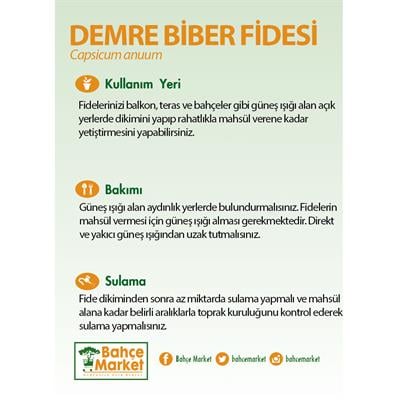 Demre Biber Fidesi