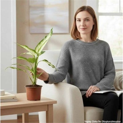 Difenbahya (Dieffenbachia Mars) Yeşil