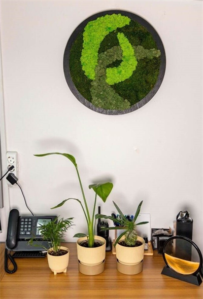 Duvar Bahçe Aranjman - Yaşayan Duvar Bitkileri