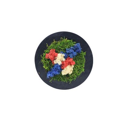 Duvar Bahçe Aranjman  - Yaşayan Duvar Bitkileri