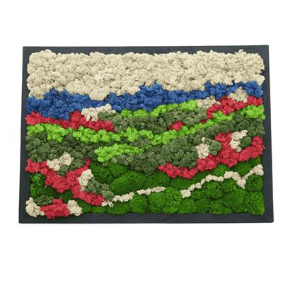 Duvar Bahçe Aranjman - Yaşayan Duvar Bitkileri