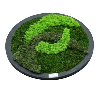 Duvar Bahçe Aranjman - Yaşayan Duvar Bitkileri